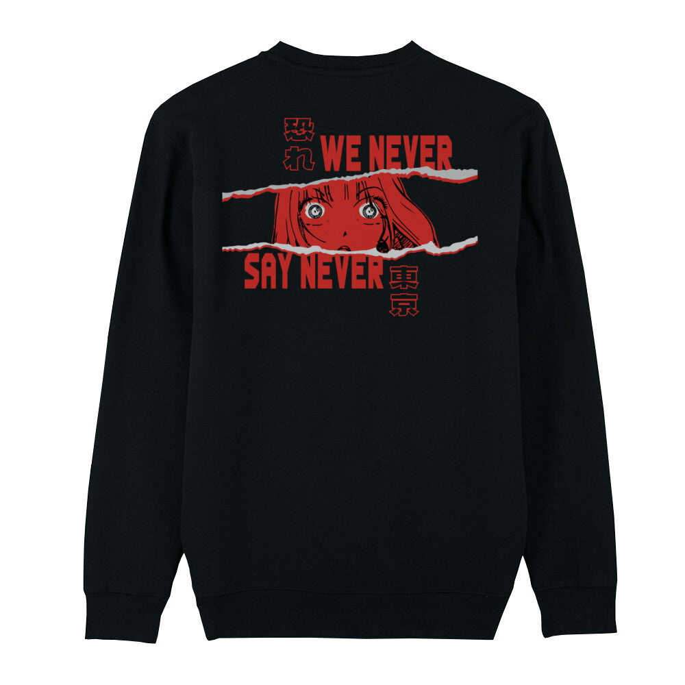 Ichido Mo Nai x Never - Premium Sweater